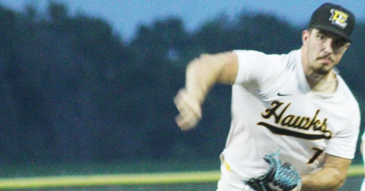 Central Lee baseball edged in postseason | Daily Democrat, Fort Madison, Iowa