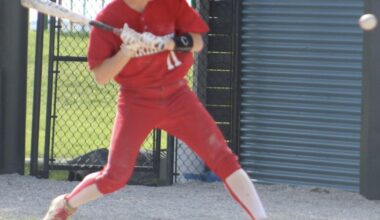 NM falls to No. 3 Hawks | Sports