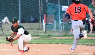 PROSPECT LEAGUE: Development is still the goal for Dans | Sports