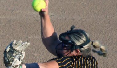 State softball: Big start propels No. 2 Louisa-Muscatine into semifinals | The Hawk Eye - Burlington, Iowa