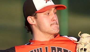 Prep baseball: Mediapolis' Lance Ludens delivers a state tournament berth | The Hawk Eye - Burlington, Iowa