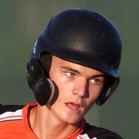 State baseball: Mediapolis ready to lock horns with Unity Christian | The Hawk Eye - Burlington, Iowa