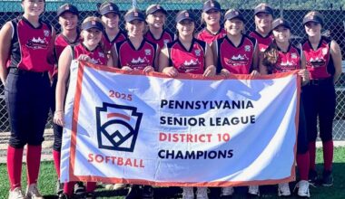 Brockway Senior softball finishes second at states | Softball