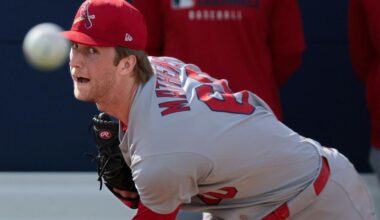 How the Dispatch Dozen Cardinals prospects have done in 2025