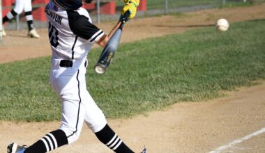 DuBois Little Leaguers' run ends at Section 1 tourney | Baseball