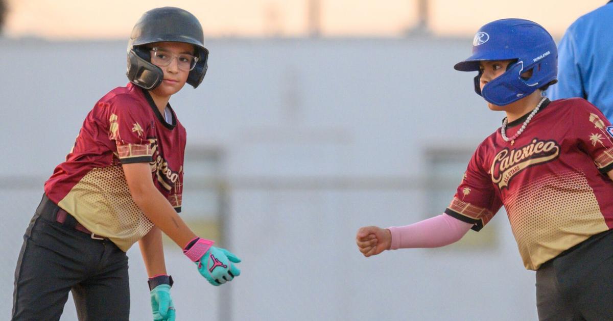 Local teams faced a bittersweet farewell as their journey in Little League Section 7 came to an end | Sports