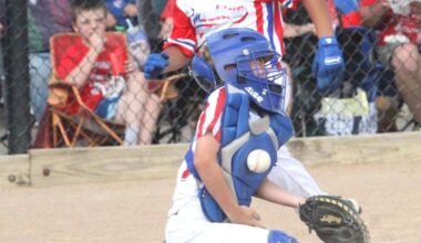 Little League baseball: Appanoose County races to state | Sports