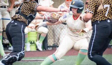 Habaneros split key doubleheader with Minot | Local Sports