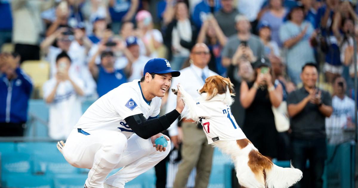 Shohei Ohtani becomes an author with a book starring his dog Decoy out next year | Entertainment