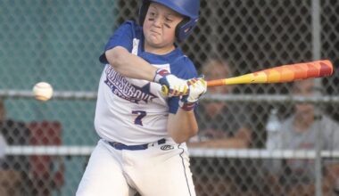 Little League baseball: Selinsgrove 8-10s' rally falls short | Sports