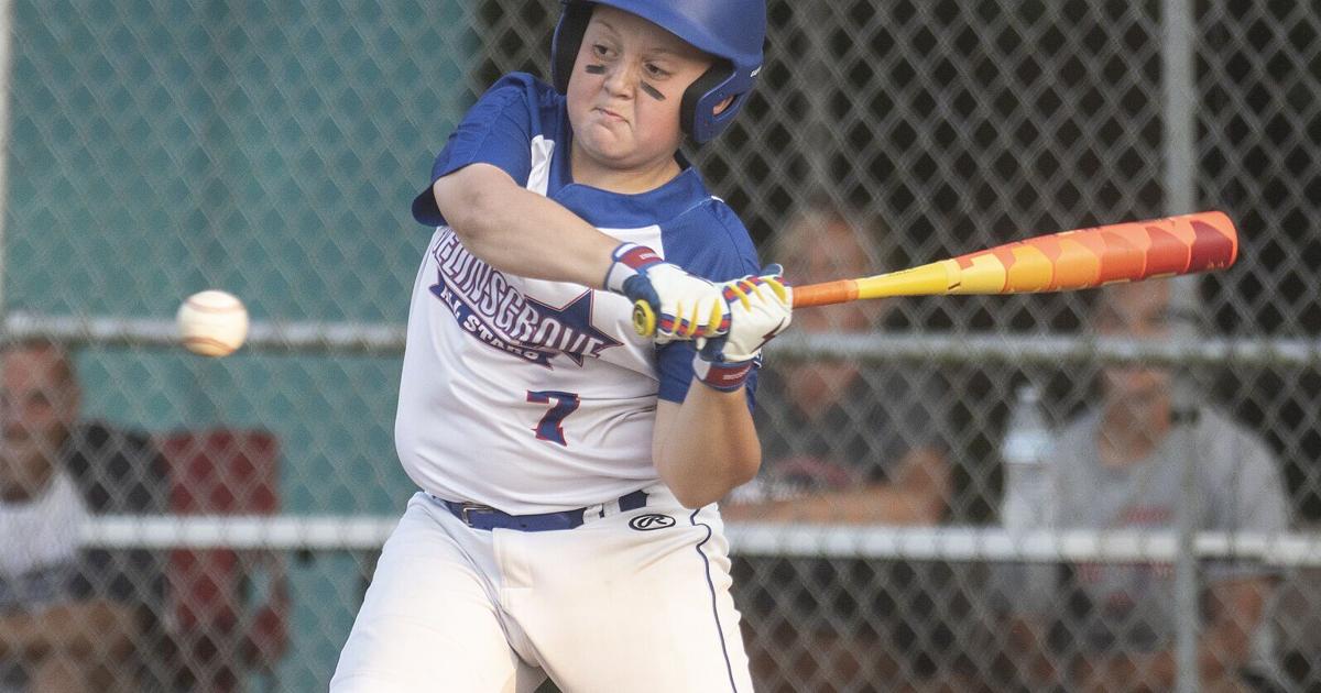 Little League baseball: Selinsgrove 8-10s' rally falls short | Sports