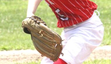 Little League baseball: Ottumwa 9s in state title game | Sports