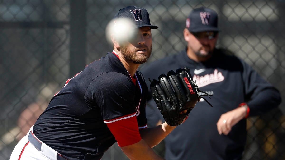 Detroit Tigers sign reliever Tanner Rainey to minor league contract
