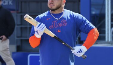 Mets Minors Recap: Alvarez Homers Twice, Raley Extends Scoreless Streak