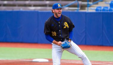 LSU baseball adds talented transfer portal from D-II level