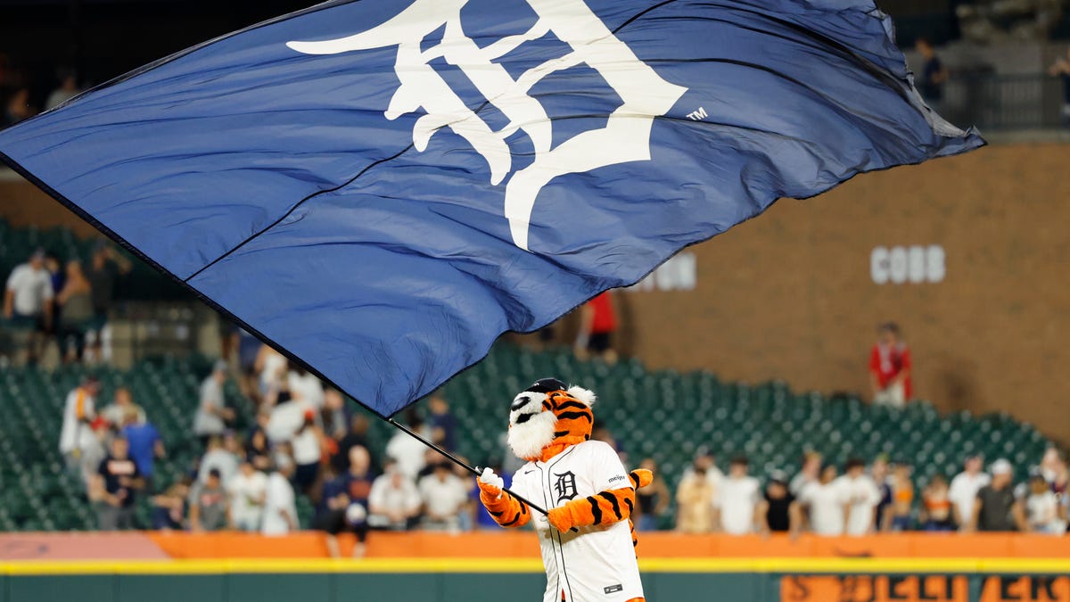 This TikTok sensation chose the Tigers as his favorite MLB team
