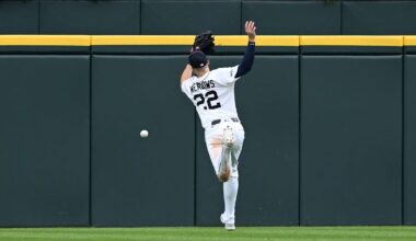 Tigers' five-game winning streak ends with 7-3 loss to Rays