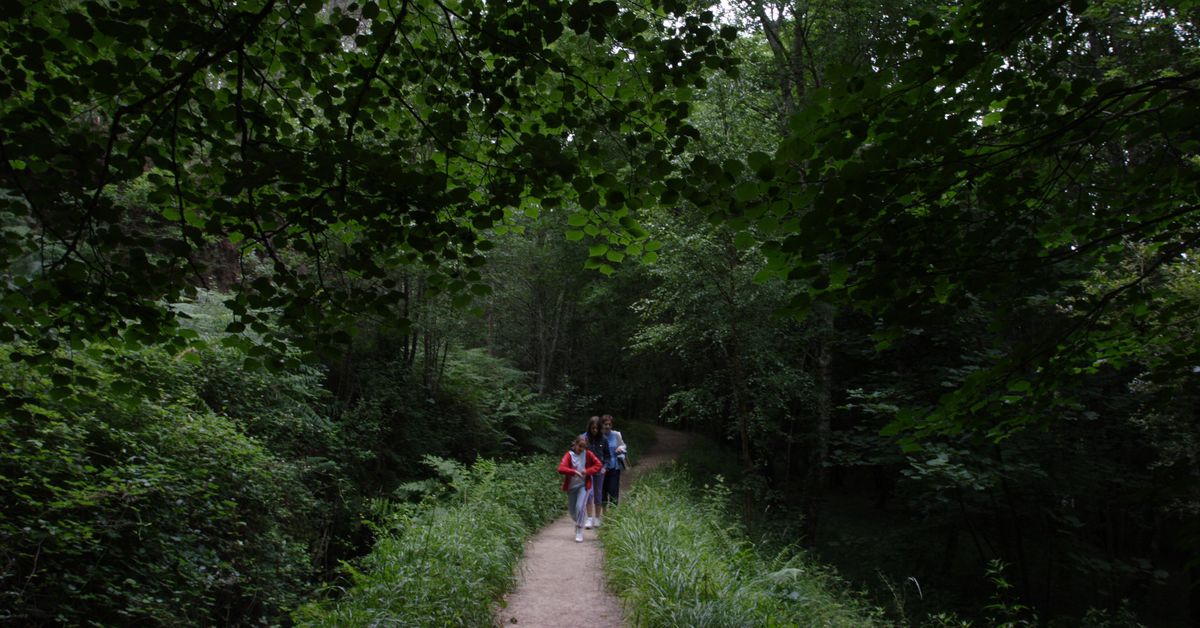 What Path Should the Guardians Take?