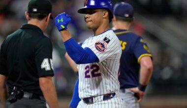 David Peterson, Juan Soto and Pete Alonso lift Mets to win over Brewers
