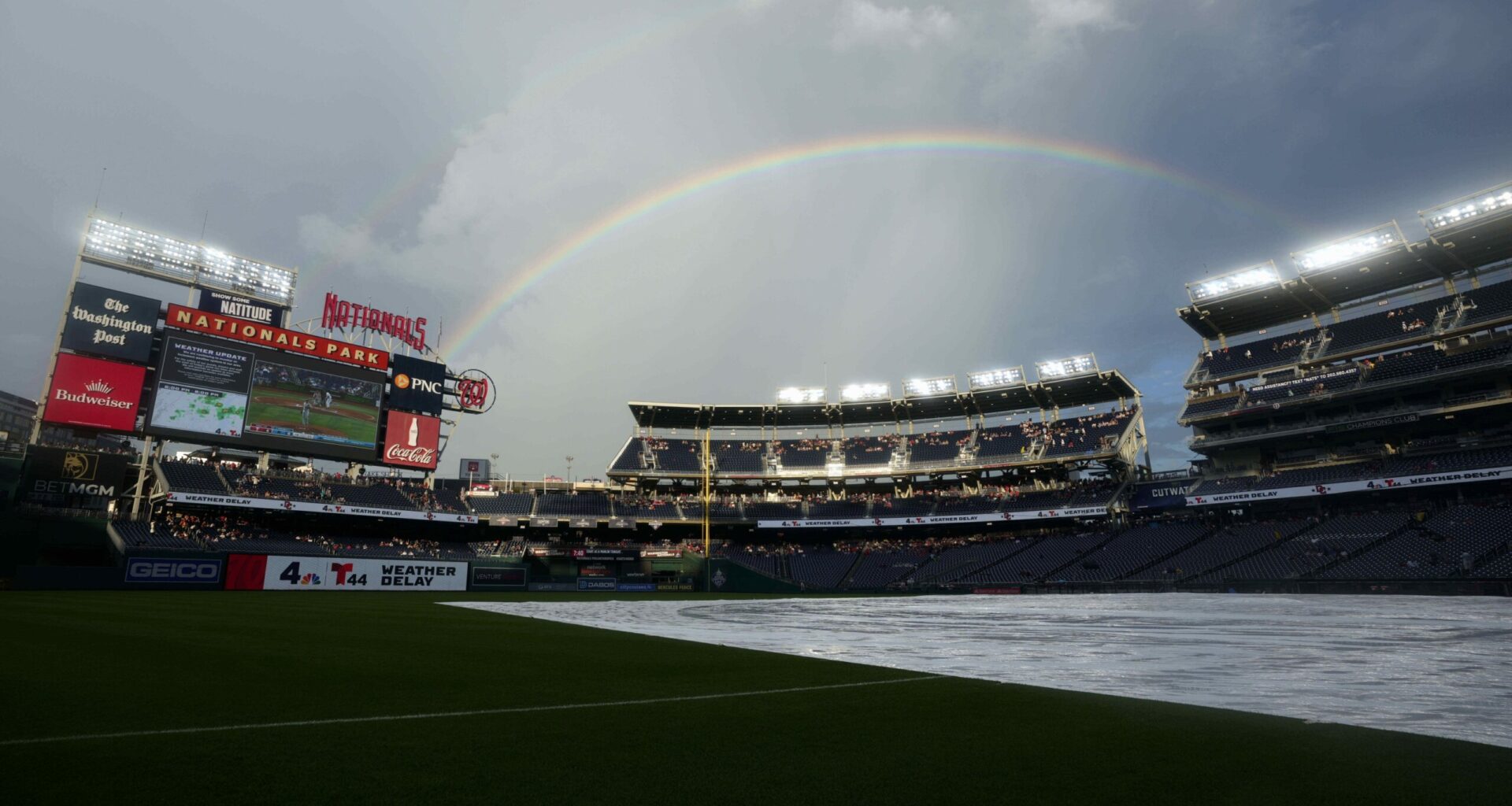 Women’s Pro Baseball League to hold tryouts at Nationals Park as it aims for 2026 debut