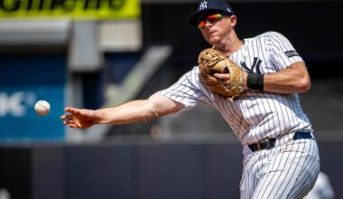 New York Yankees cut 2-time batting champion