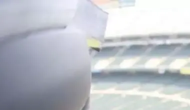 The San Francisco Standard