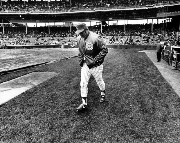 Cubs manager Lee Elia tests the Wrigley Field turf on April 5, 1983, the day of the season opener against the Montreal Expos. The game was rained out. (Jose More/Chicago Tribune)