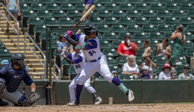 Twins Minor League Report (7/2): Anyone Have Any Offense? - Minor Leagues