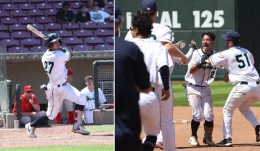 Twins Minor League Report (7/23): Walk-Off Among DeBarge's Greatest Hits: Oooh and I Like It - Minor Leagues