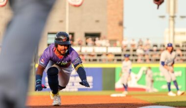 Gabriel Gonzalez is a Great Hitter, but It Might not Matter - Minor Leagues