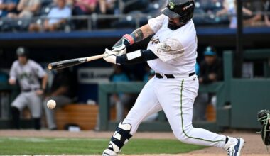 Atlanta Braves call up catcher Sandy León, send down outfielder Stuart Fairchild