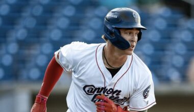 Chicago White Sox Minor League Update: July 20, 2025