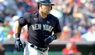 Jasson Dominguez Returns to Lineup on Sunday - MLB News