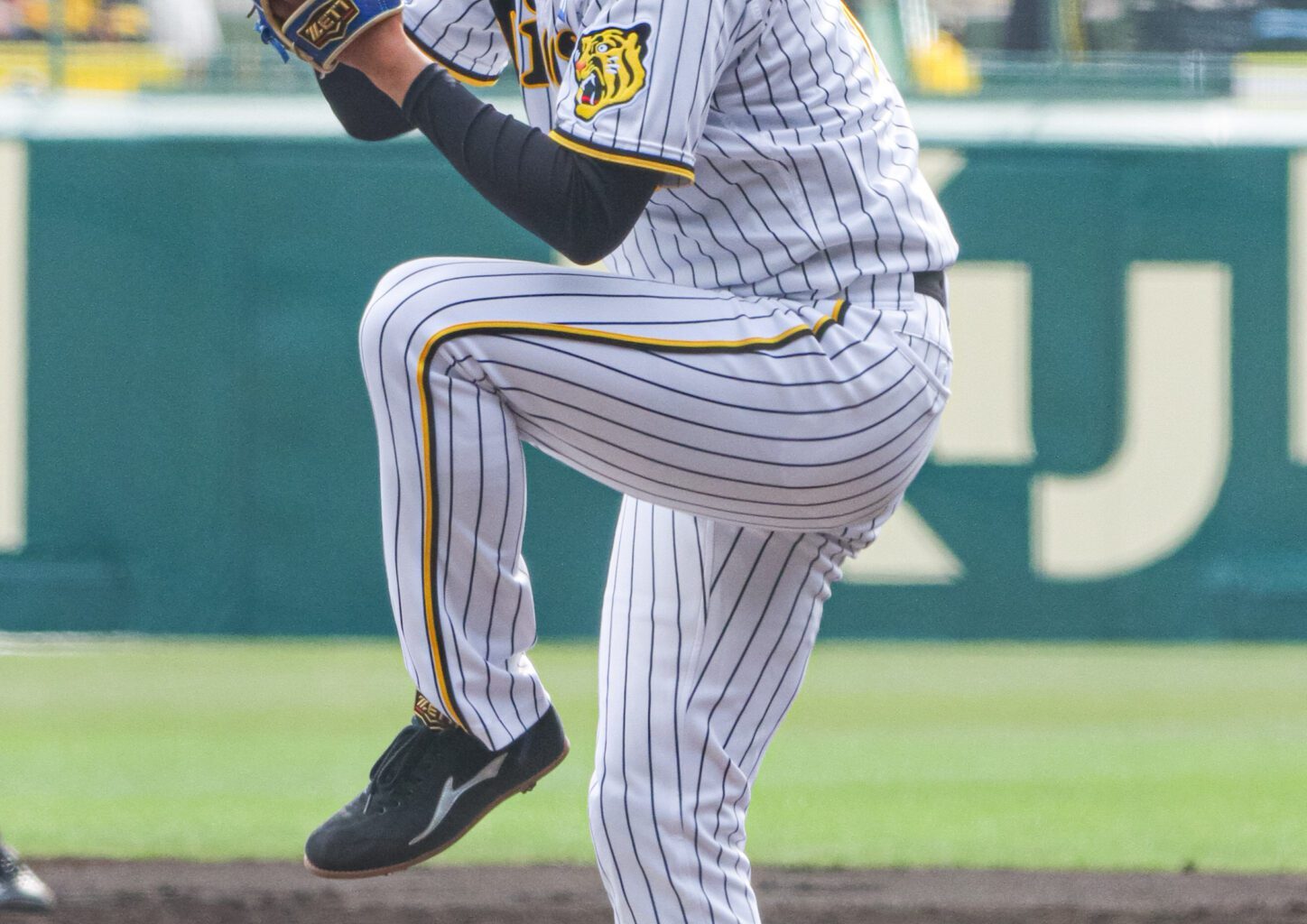 Will Sign with Yakult Swallows