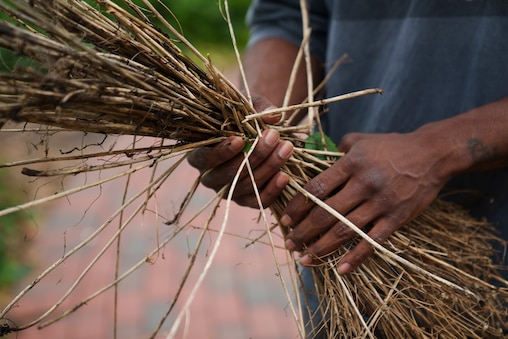 Friday, July 18, 2025 —Volunteer Jerry Washington shows the stray branches he collected for clean up at Oriole Park in Camden Yards.