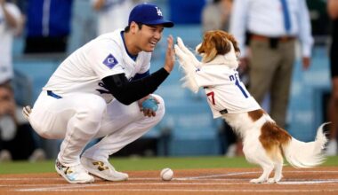 Shohei Ohtani co-writes children’s book starring his dog Decoy