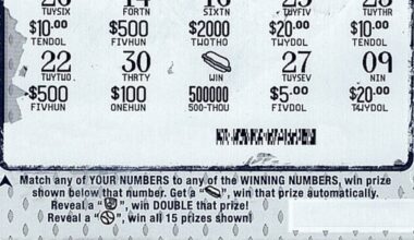 Tuscola County man wins $500,000 playing the Michigan Lottery’s Detroit Tigers instant game