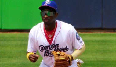 Chicago White Sox Minor League Update: July 1, 2025