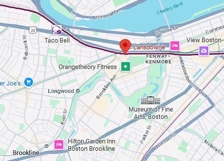 The Brown Line is the T Line.