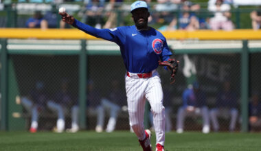 Cubs Designate Vidal Brujan For Assignment