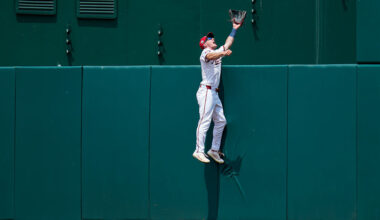Young makes another Catch of the Year candidate