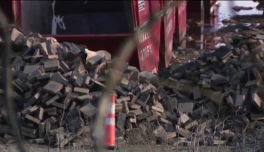 Emails on complimentary bricks hit inboxes