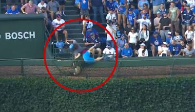 Cubs Fan Falls In Wrigley Field Basket In Hunt For Home Run Ball