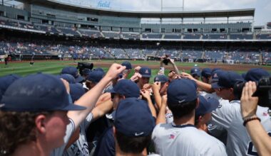 Arizona Wildcats baseball: Transfer portal additions outweigh losses