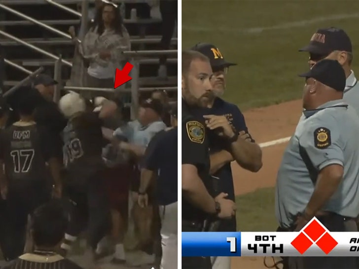 youth_baseball_fight_kal