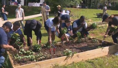 Volunteers with Atlanta Braves, MLB, and others build community garden in southeast Atlanta – WSB-TV Channel 2