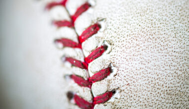 Rays get Tristan Gray from White Sox, DFA Coco Montes