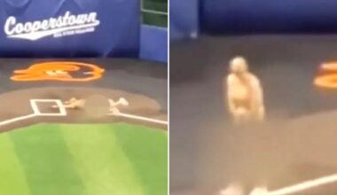 Youth baseball coaches fired after streaking at upstate NY tournament