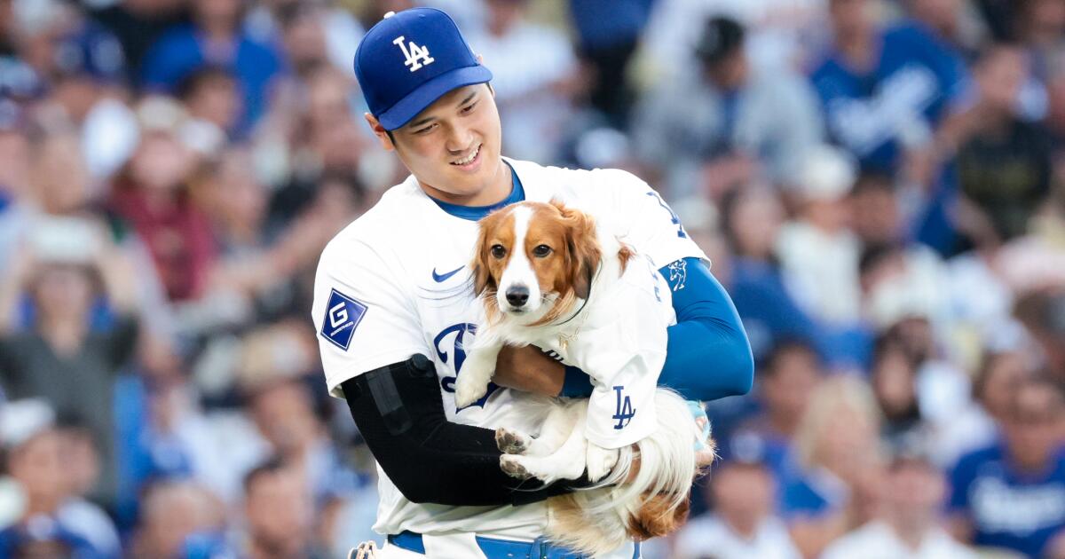 Dodgers' Shohei Ohtani has written a children's book about pooch Decoy