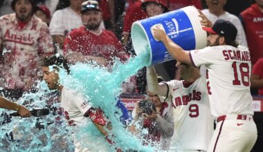 Travis d'Arnaud's walk-off single lifts Angels to victory over Arizona